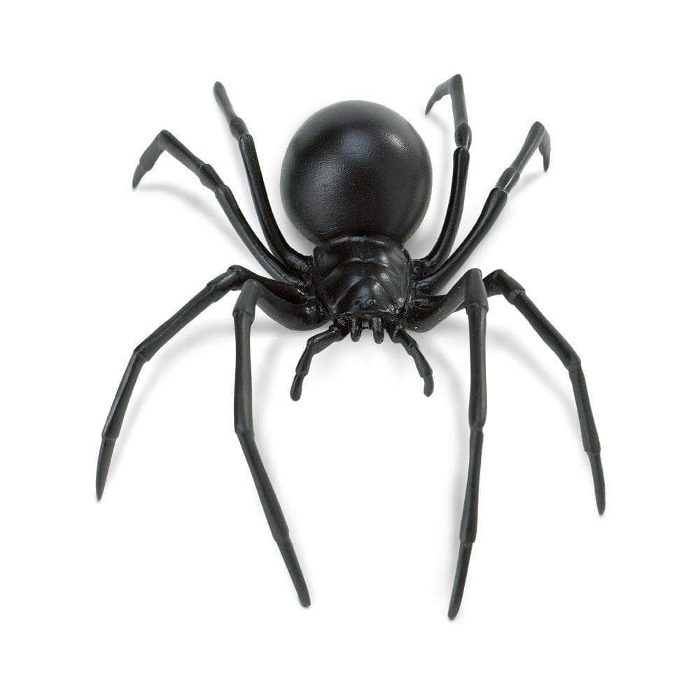 Blackhouse Spiders