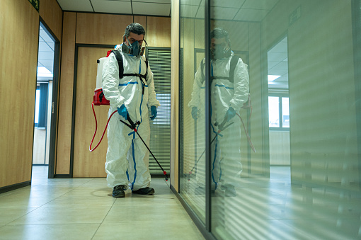 Commercial Pest Control: How It Works 