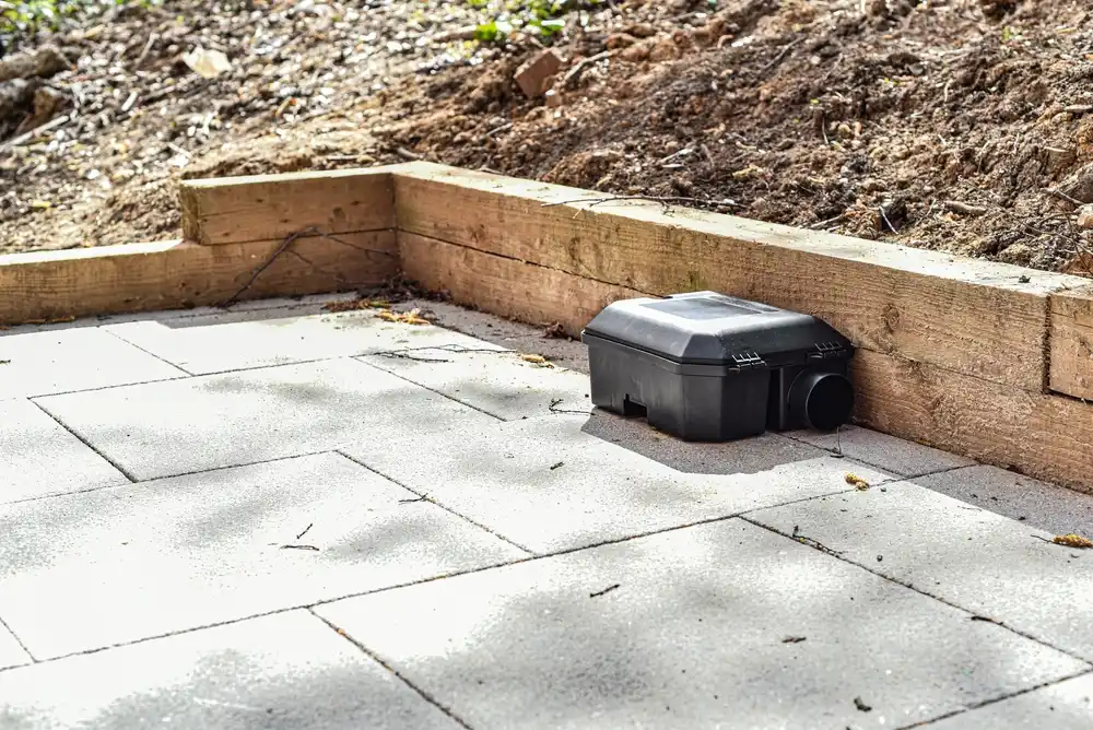 rodent treatment melbourne