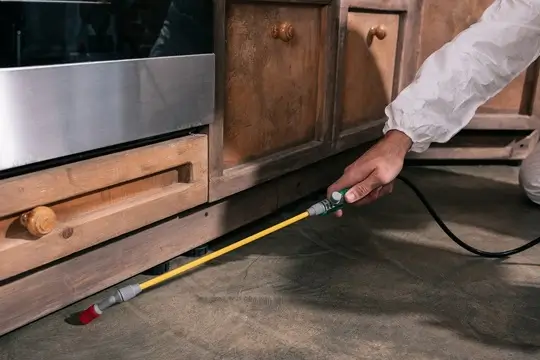 Inspection - Orbit Pest Control